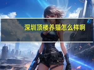 深圳顶楼养猫怎么样啊