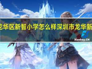 深圳龙华区新智小学怎么样 深圳市龙华新区基础教育