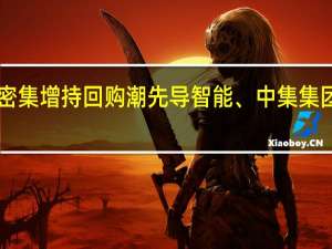 深市公司再现密集增持回购潮 先导智能、中集集团等多家龙头“接力”