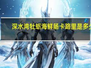 深水湾 牡蛎海鲜肠卡路里是多少