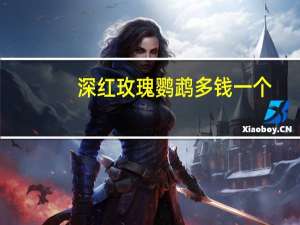 深红玫瑰鹦鹉多钱一个（深红玫瑰鹦鹉）