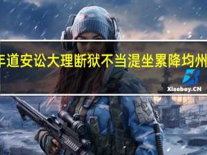 淳化二年道安讼大理断狱不当湜坐累降均州团练副使翻译