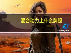 混合动力上什么牌照