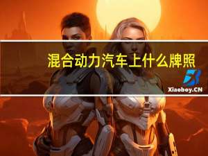 混合动力汽车上什么牌照
