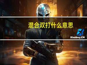混合双打什么意思