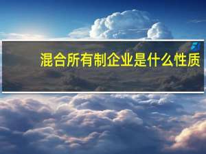 混合所有制企业是什么性质（什么是混合所有制企业 求解）