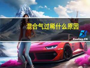 混合气过稀什么原因（混合气过稀）