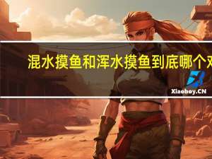 混水摸鱼和浑水摸鱼到底哪个对