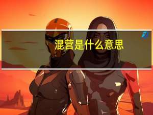 混营是什么意思