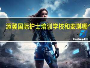 添翼国际护士培训学校和安琪哪个好