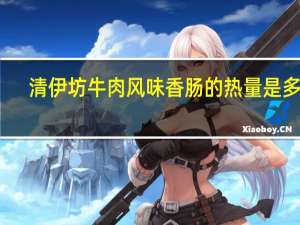 清伊坊 牛肉风味香肠的热量是多少