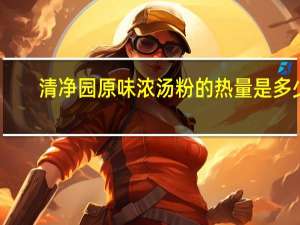 清净园 原味浓汤粉的热量是多少