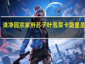 清净园 宗家府 苏子叶泡菜卡路里是多少