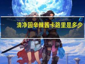 清净园 辛辣酱卡路里是多少