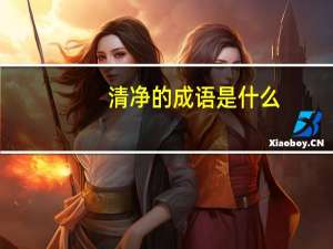 清净的成语是什么？