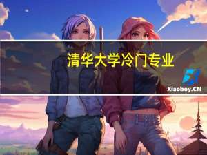清华大学冷门专业
