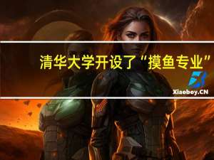 清华大学开设了“摸鱼专业”，开此专业的目的是什么