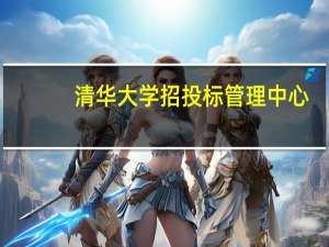 清华大学招投标管理中心（招投标管理等工作流程）