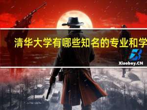清华大学有哪些知名的专业和学科