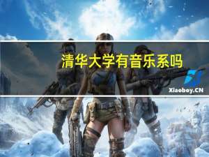 清华大学有音乐系吗