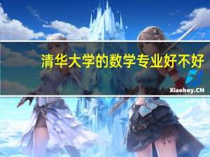 清华大学的数学专业好不好。