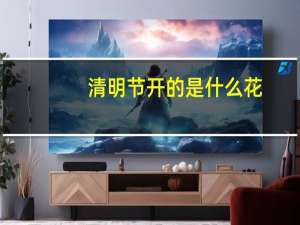 清明节开的是什么花