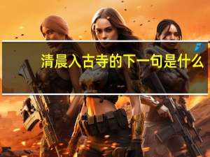 清晨入古寺的下一句是什么