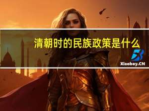 清朝时的民族政策是什么