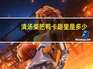 清汤柴把鸭卡路里是多少