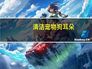 清洁宠物狗耳朵