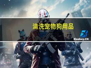 清洗宠物狗用品