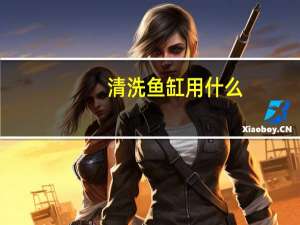 清洗鱼缸用什么