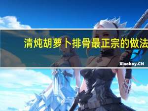 清炖胡萝卜排骨最正宗的做法