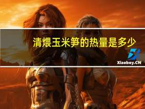 清煨玉米笋的热量是多少？