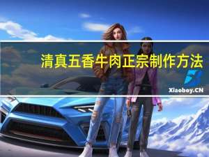 清真五香牛肉正宗制作方法