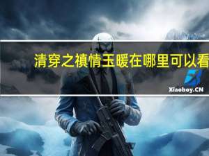 清穿之禛情玉暖在哪里可以看（清穿之禛情玉暖）