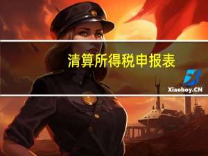 清算所得税申报表（清算所得）
