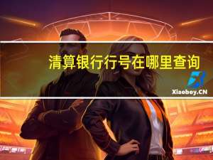 清算银行行号在哪里查询（清算银行行号是什么）