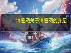 清管阀 关于清管阀的介绍