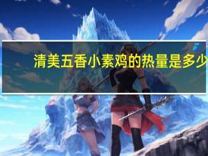 清美 五香小素鸡的热量是多少