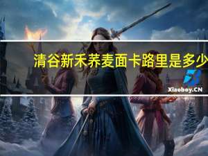 清谷新禾 荞麦面卡路里是多少