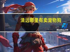 清远哪里有卖宠物狗