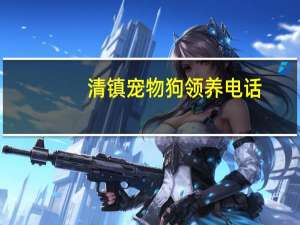 清镇宠物狗领养电话