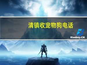 清镇收宠物狗电话