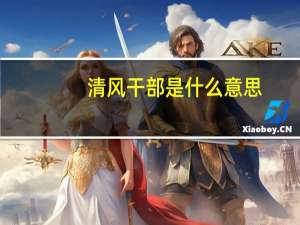清风干部是什么意思