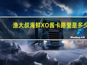 渔大叔 海鲜XO酱卡路里是多少