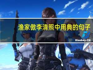 渔家傲李清照中用典的句子