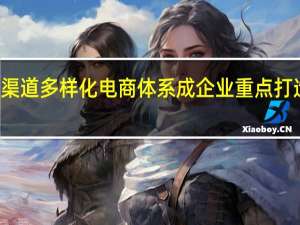 渠道多样化 电商体系成企业重点打造项目
