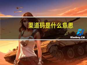 渠道码是什么意思