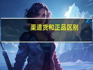 渠道货和正品区别
